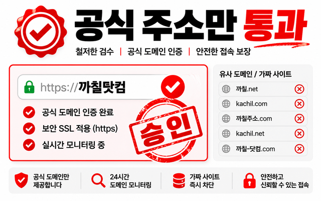공식 주소만 통과시키는 까칠닷컴의 접속 점검·검증 과정을 표현한 안내 이미지